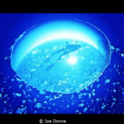 Out of this world!!! by Joe Donne 